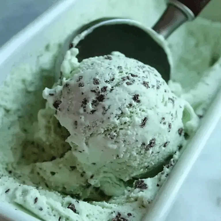 Mint Chocolate Chip Ice Cream served in a bowl