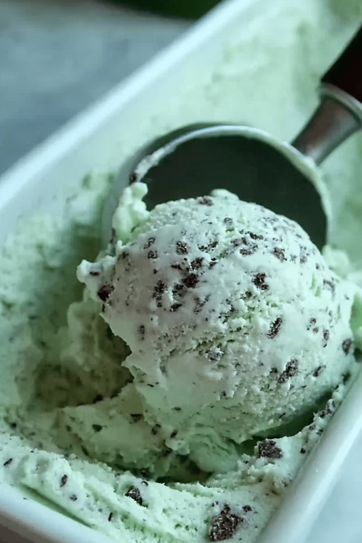 Mint Chocolate Chip Ice Cream served in a bowl