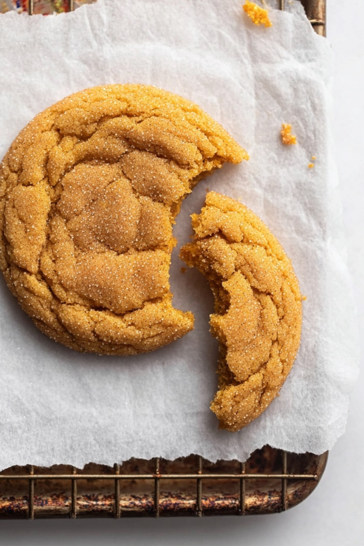 Chewy Pumpkin Snickerdoodles cookie rolled in cinnamon sugar