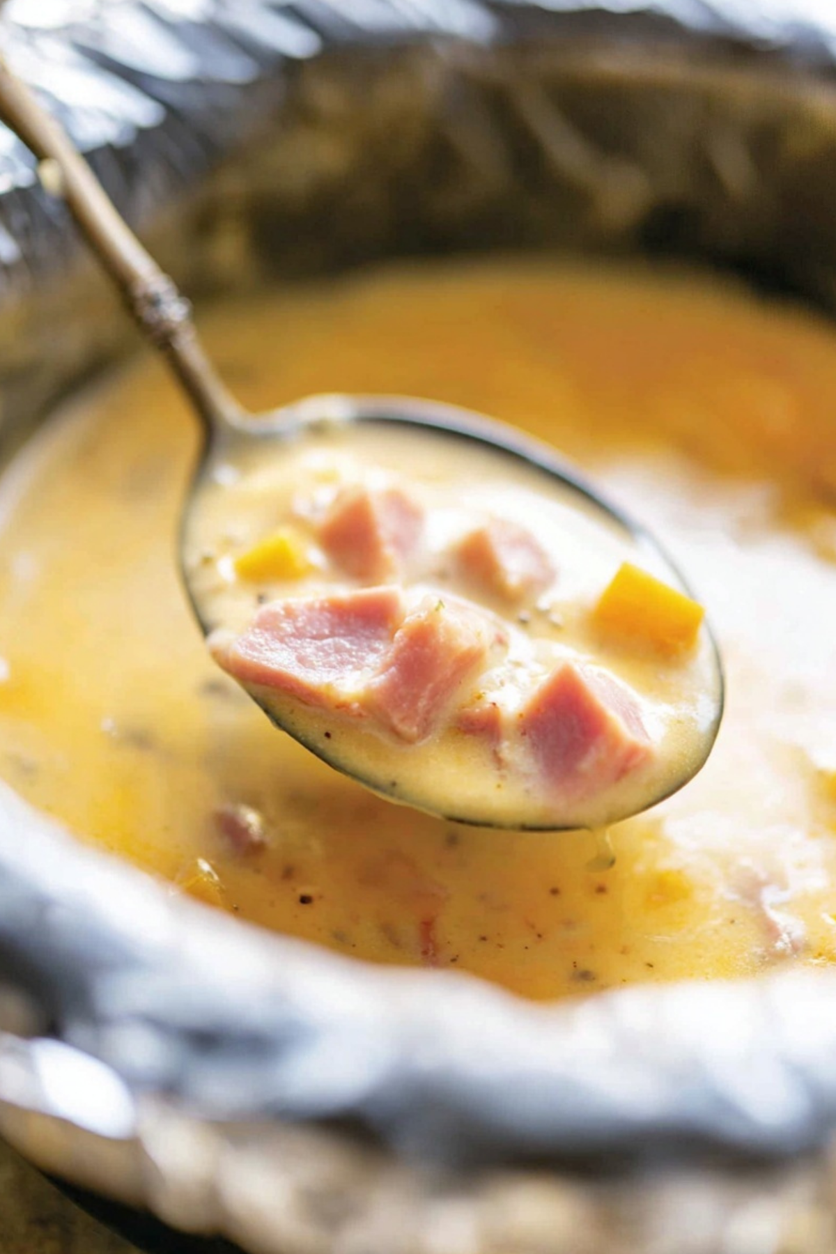 Slow Cooker Ham and Cheese Soup in a bowl with cheese and ham