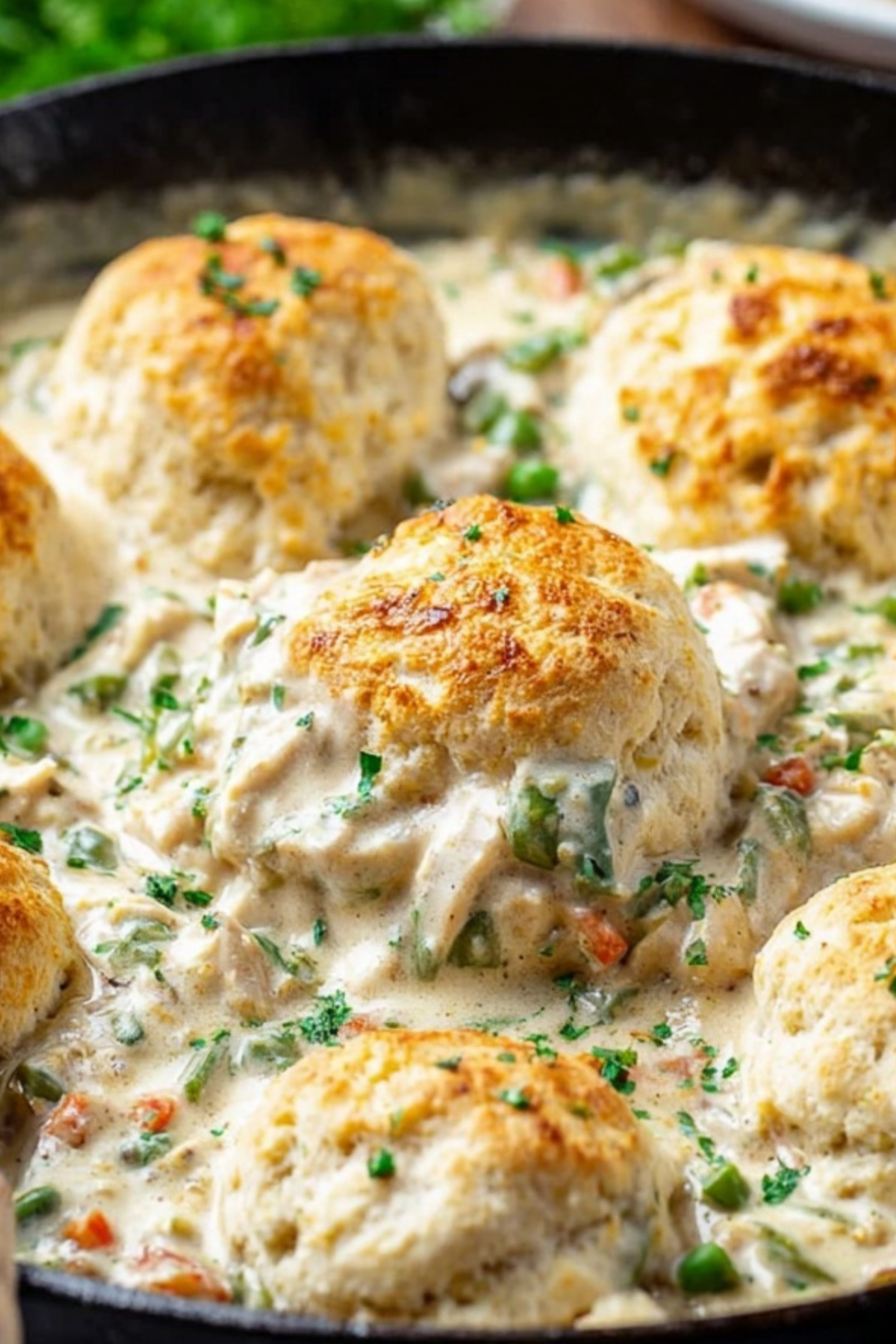 Creamy Country Chicken and Biscuits Casserole with Cheesy Biscuits