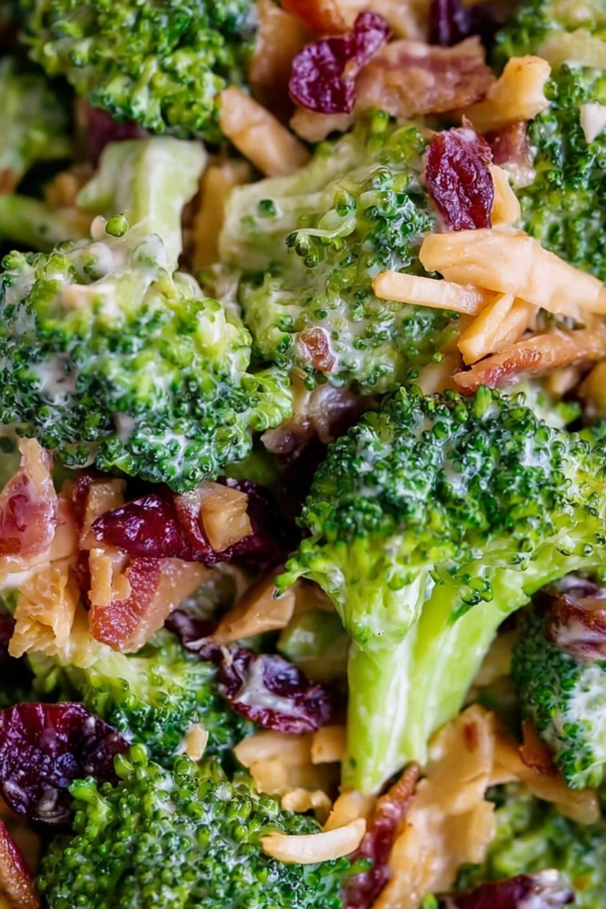 Broccoli Bacon Salad with crispy bacon, fresh broccoli, and tangy dressing