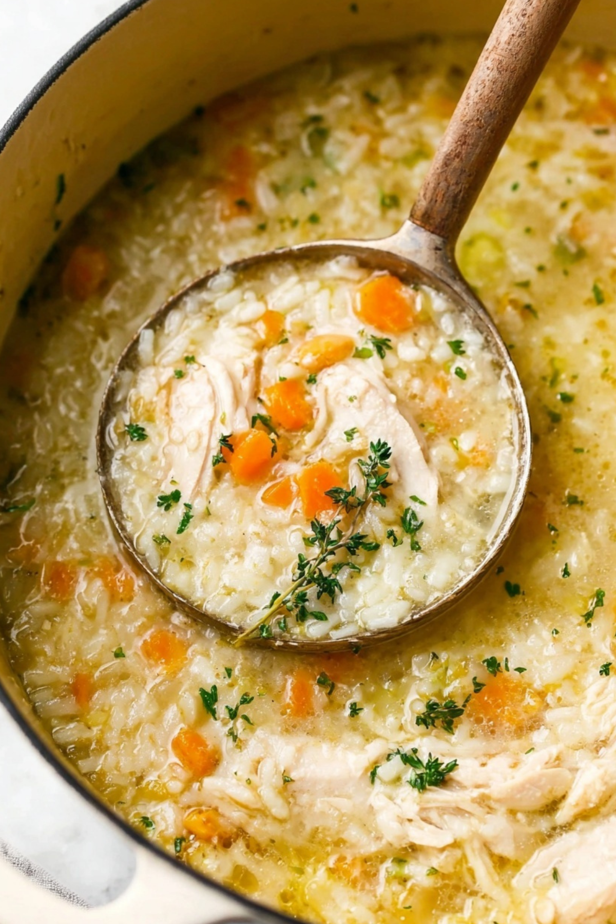 Chicken and Rice Soup recipe with tender chicken and vegetables
