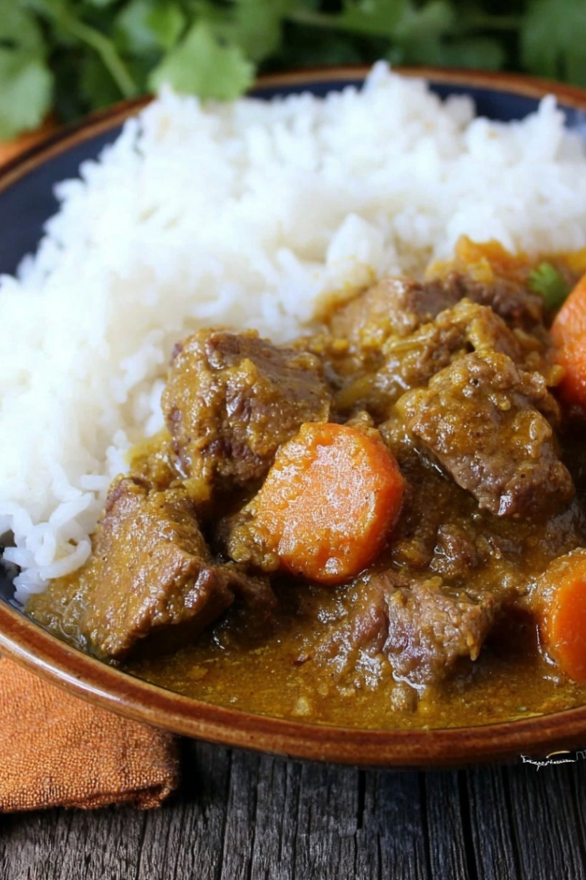 Slow cooker coconut curry beef stew in a bowl with rice