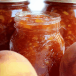 Spiced Peach Jam Recipe – Homemade Jam with Fresh Peaches and Spices