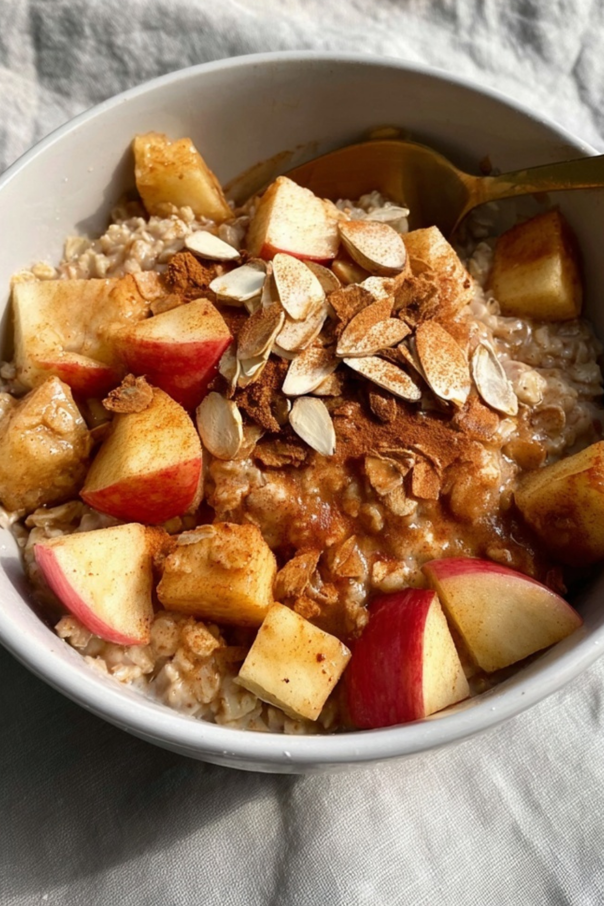 Cinnamon Apple Oatmeal Bowl with warm apples and oats