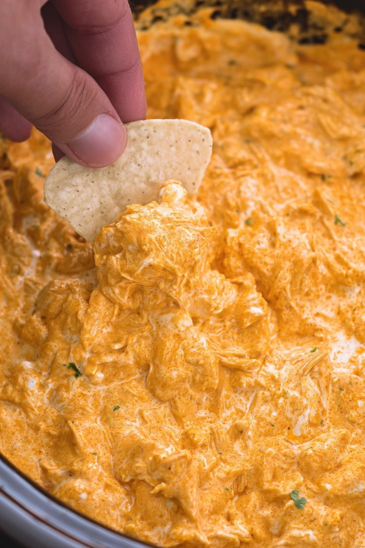 crockpot buffalo chicken dip served warm in a slow cooker