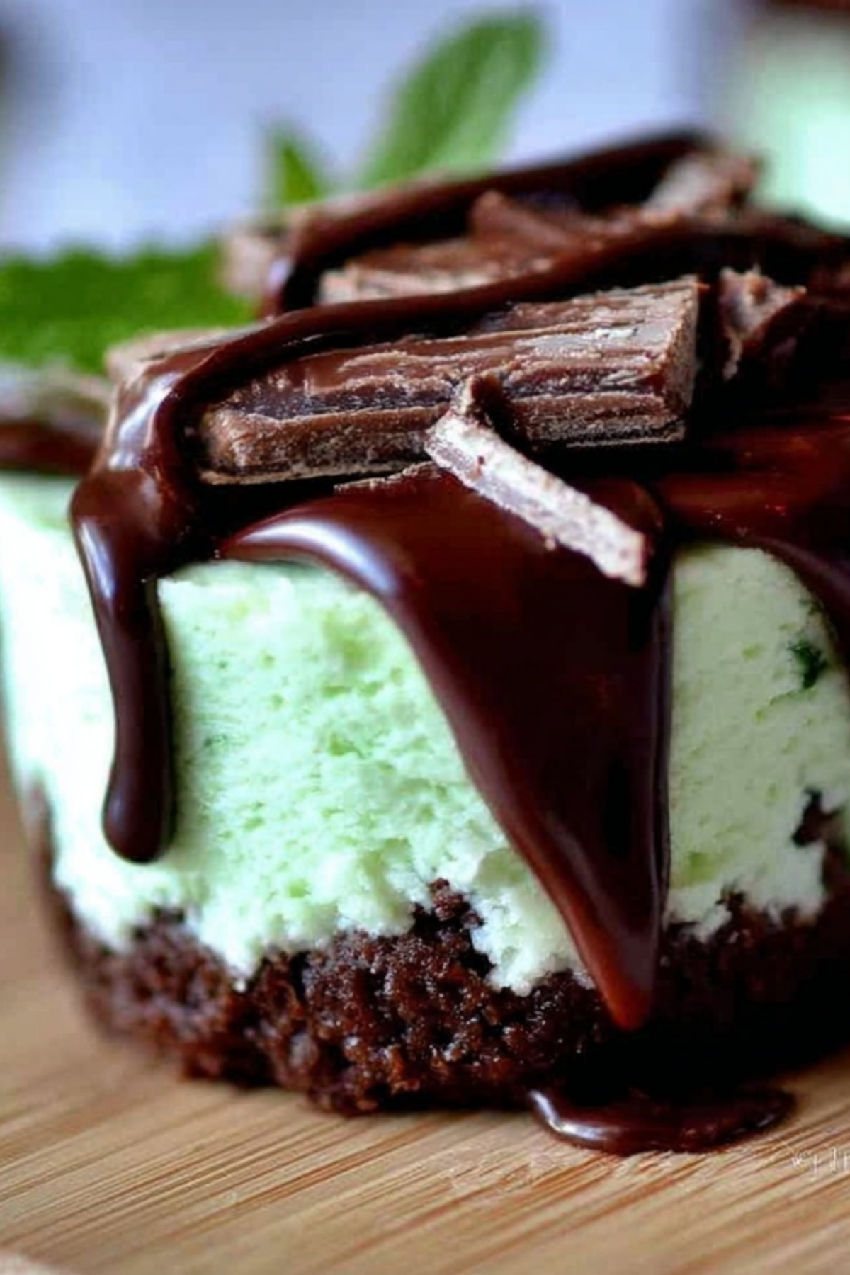 Andes Mint Mini Cheesecakes with chocolate crust and mint topping